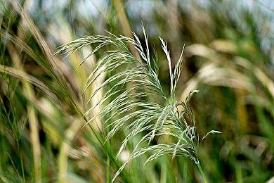 可爱寻物游戏《失物认领有限公司》6月更新简中