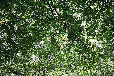 在这款像素模拟经营新作中，你得建设学园还要抓捕逃课学生